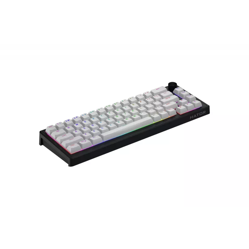 HATOR Skyfall 65 MAG ULTRA 8K klaviatūra Gaming USB QWERTY US English Juoda, Balta