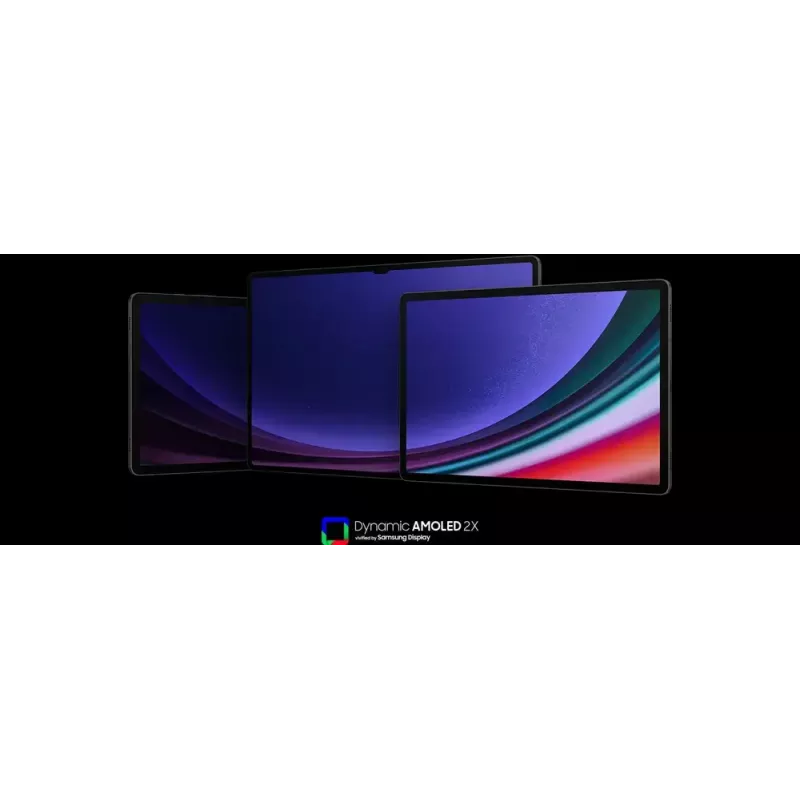 Samsung Galaxy Tab S9 SM-X716B 5G Snapdragon 128 GB 27,9 cm (11 col.) 8 GB Wi-Fi 6 (802.11ax) Android 13 Graphite