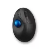 Pelė Kensington ProFit Ergo TB450 Trackball Wireless