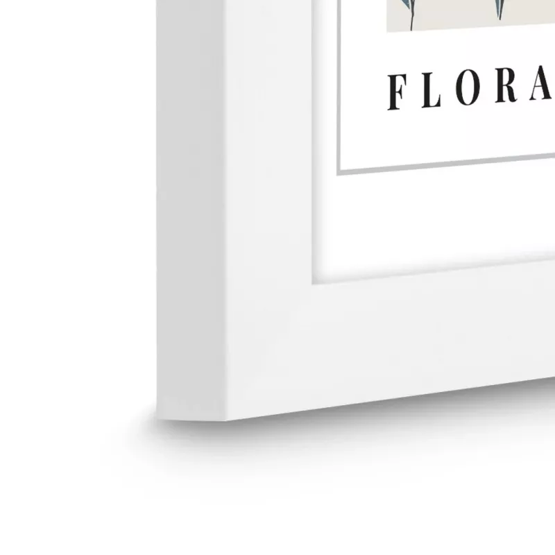 Paveikslėlių rėmelis Hama Flora viengubas baltas