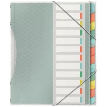 Esselte Colour'Breeze Skyriklis su 12 skirtukų, Įvairiaspalvis, Polipropilenas (PP), 266 mm, 20 mm, 370 g, 1 vnt.