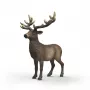 Schleich WILD LIFE 14992 vaikiška figūrėlė