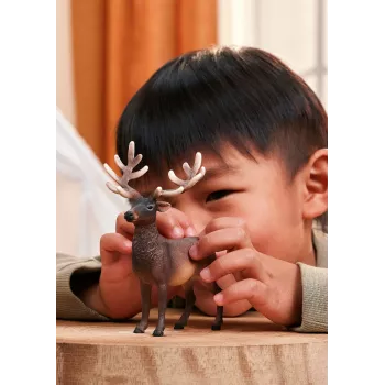 Schleich WILD LIFE 14992 vaikiška figūrėlė