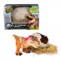 Interaktyvus žaislas dinozauras Jurassic World Primal Hatch T-Rex su kiaušiniu, 100+ garsų ir reakcijų, 5+ metai
