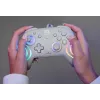 Prievadinis RGB žaidimų valdiklis Turtle Beach Afterglow Wave pilka – USB-C, 3 m laidas, skirta Nintendo Switch / Switch 2 / Switch OLED