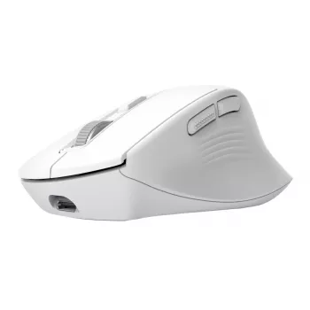 Belaidė dešiniarankė biuro pelė TRUST Niven – RF + Bluetooth, 3200 DPI, 7 mygtukai, ratukas, balta