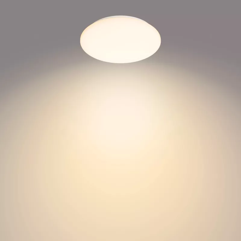 Philips Functional Moire lubinis šviestuvas 10 W, LED, nekeičiama lemputė, 2700 K, 1000 lm, IP20, baltas