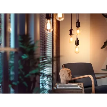 Philips 1 vnt. ST72 E27 Filament Edison Bluetooth Zigbee išmanioji lemputė