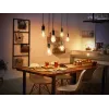 Philips 1 vnt. ST72 E27 Filament Edison Bluetooth Zigbee išmanioji lemputė