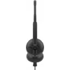 DELL WH125 ausinės su mikrofonu, laidinės, USB-A, juodos