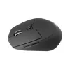 Conceptronic LORCAN02B ergonominė pelė Office dešinei rankai Bluetooth optinė 1600 DPI