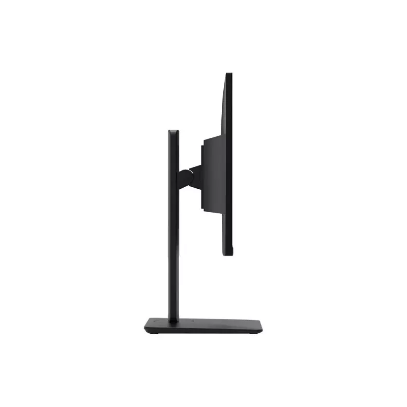 MSI Pro MP245PG 24 colių IPS FHD HDMI/DP Pivot - Plokščias ekranas - 61 cm