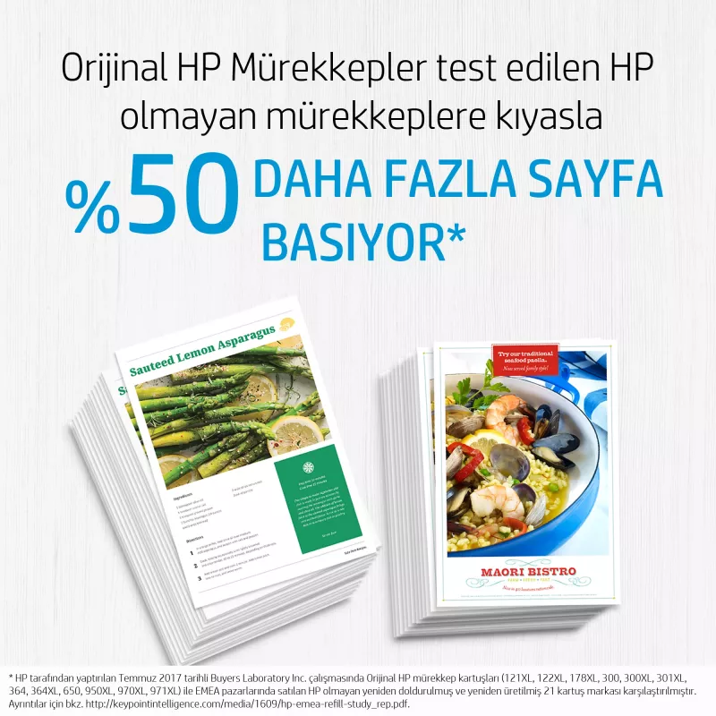 HP 300 spalvotas rašalas Vivera 4ml