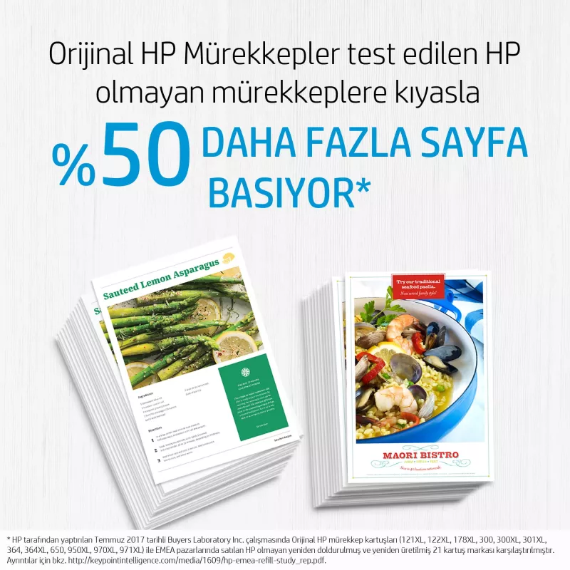 HP 300 spalvotas rašalas Vivera 4ml