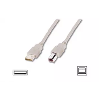 Logilink USB 2.0 jungiamasis kabelis USB-A į USB-B, USB A kištukas, USB B kištukas, 5 m