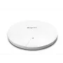 DrayTek Vigor AP1062C belaidis prieigos taškas WLAN-AX MESH lauke PoE (be maitinimo šaltinio)