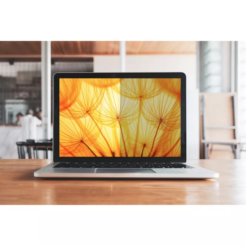 3M privatumo filtras nešiojamam kompiuteriui – ryškiam ekranui – lipnus – 34,2 cm (13,5 colio) – skirtas Microsoft Surface Laptop (13,5 colio), Laptop 2 (13,5 colio) (7100287810)
