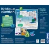 Mokslinių eksperimentų rinkinys „Augink kristalus“