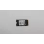 256GB M.2 2242 PCIe 4.0 NVMe SSD (Lenovo)