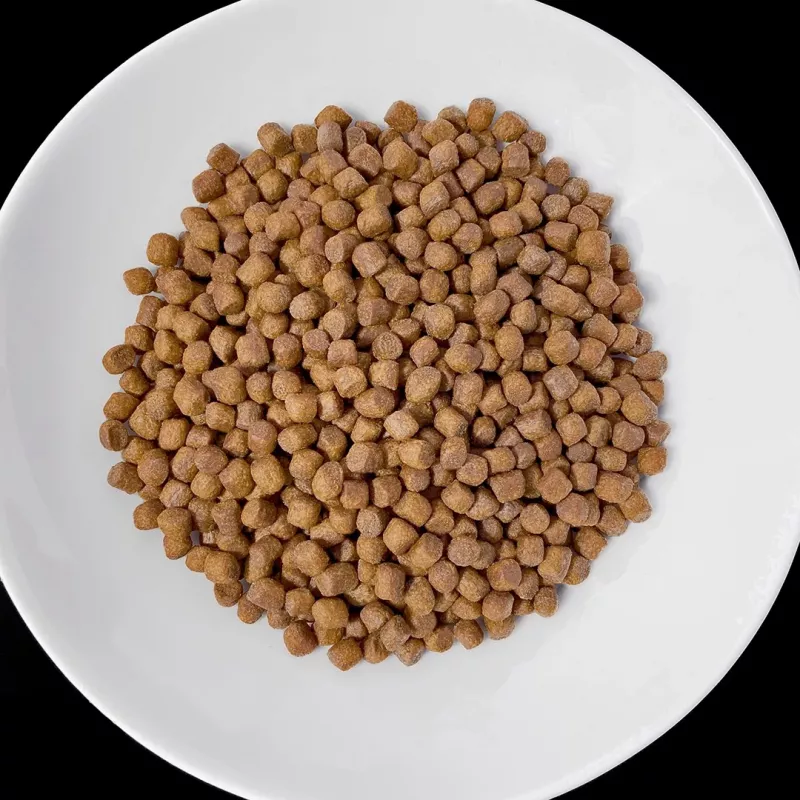 VET RESPONSE Renal sausas šunų ėdalas 1,6 kg