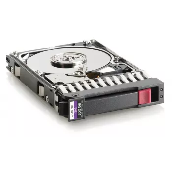 Hewlett Packard Enterprise 300GB SAS 2.5 colio kietasis diskas (W125833981)