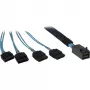 Laidas INTER-TECH SFF-8643 į 4x SATA/SAS 0,7 m 12 Gbit/s mėlynas