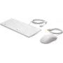 HP USB klaviatūra ir pelė Healthcare Edition pilno dydžio laidinė balta