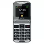 Beafon Fold10 LTE EU003B Sidabrinis
