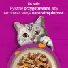 Šlapias kačių maistas Whiskas Tasty Mix šefo pasirinkimas padaže 40×85 g pakeliai