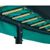 Trampolinas Salta First Class 251 cm žalias