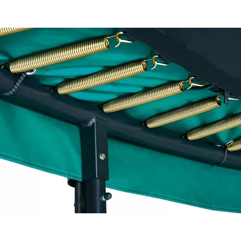 Trampolinas Salta First Class 251 cm žalias
