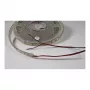 Synergy 21 LED Flex juostelė 3528 - 120 NW DC12V 48W IP68