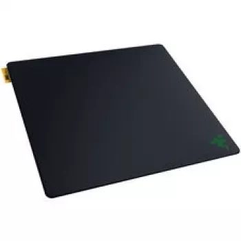 Pelės kilimėlis Razer Gigantus V2 Pro L - Speed (RZ02-05490900-R3M1)