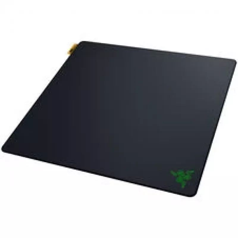 Pelės kilimėlis Razer Gigantus V2 Pro L - Speed (RZ02-05490900-R3M1)