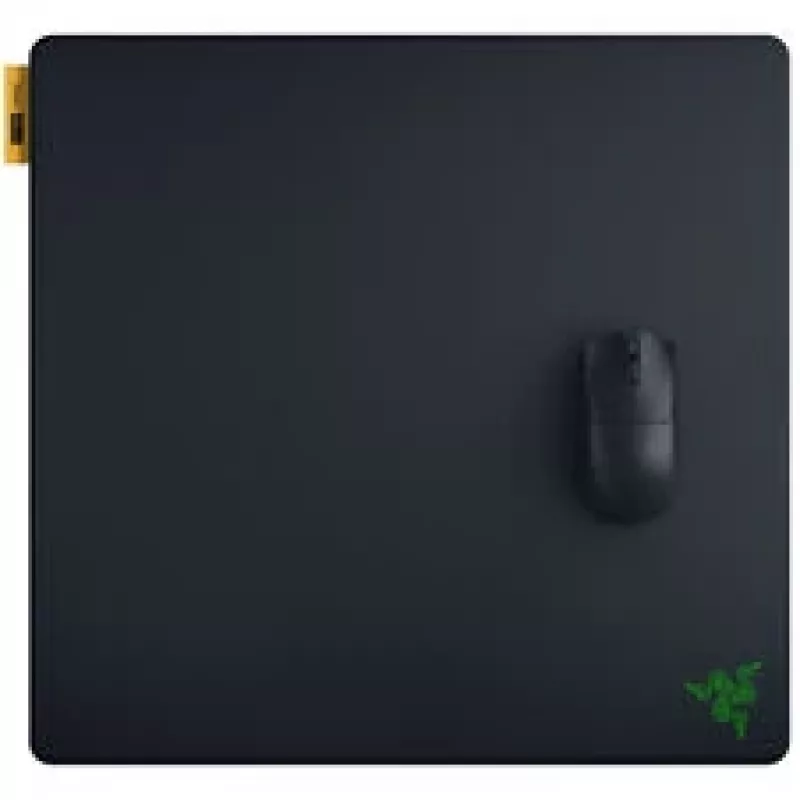 Pelės kilimėlis Razer Gigantus V2 Pro L - Speed (RZ02-05490900-R3M1)