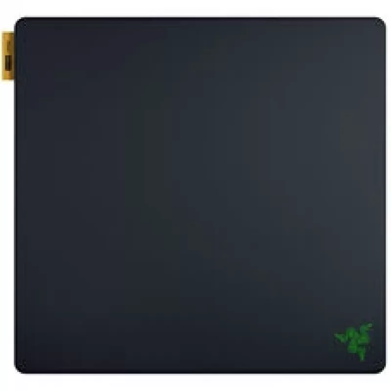 Pelės kilimėlis Razer Gigantus V2 Pro L - Speed (RZ02-05490900-R3M1)