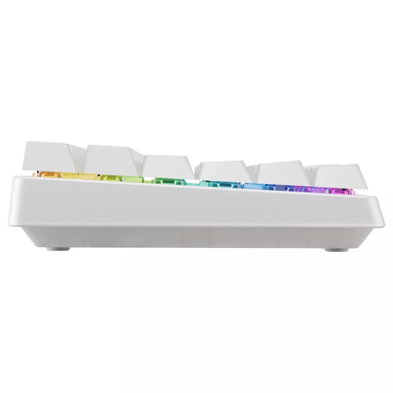Belaidė mechaninio tipo kompaktiška klaviatūra Cherry XTRFY K33 75% QWERTZ vokiška balta USB + RF + Bluetooth RGB