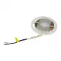 Synergy 21 LED Flex Strip 5050 - 60 RGB DC24V + RGB-W vieno lusto WW s-forma IP20