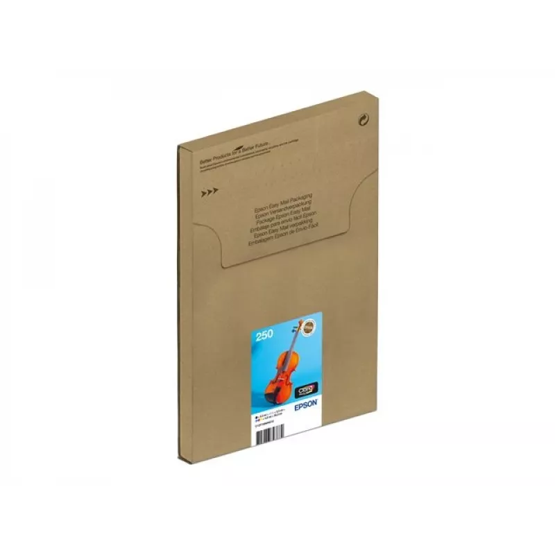 Originalus rašalo kasečių rinkinys Epson 250 EasyMail 6 vnt. – Juoda, Geltona, Žydra, Purpurinė, Šviesiai žydra, Šviesiai purpurinė (C13T16N84510)