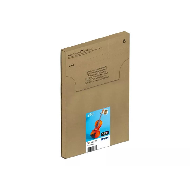 Originalus rašalo kasečių rinkinys Epson 250 EasyMail 6 vnt. – Juoda, Geltona, Žydra, Purpurinė, Šviesiai žydra, Šviesiai purpurinė (C13T16N84510)