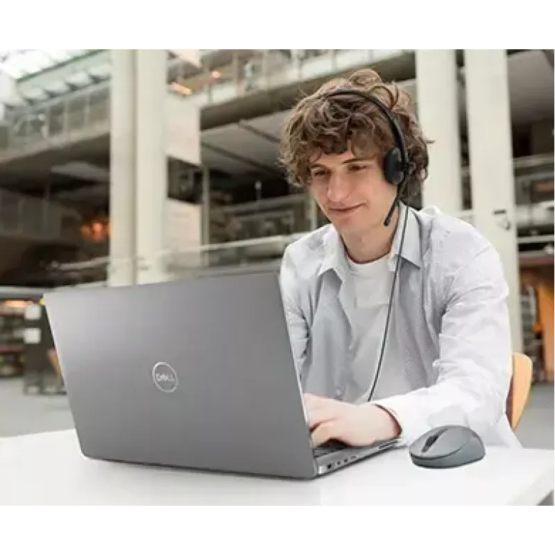 Ausinės DELL Stereo Headset WH1022