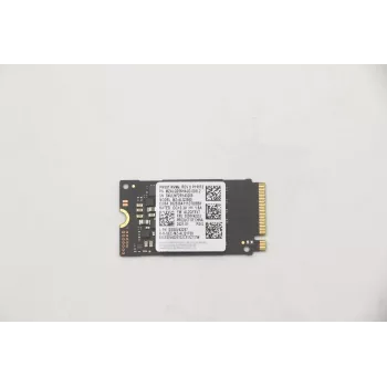 Lenovo 5SS0V42253 Vidinė kietojo kūno atminties plokštė M.2 256 GB PCI Express