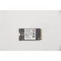 Lenovo 5SS0V42253 Vidinė kietojo kūno atminties plokštė M.2 256 GB PCI Express