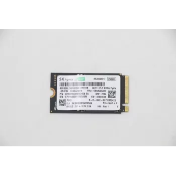Lenovo SSD 256GB M.2 2242 PCIe 3.0 x4 (5SS0V26437)
