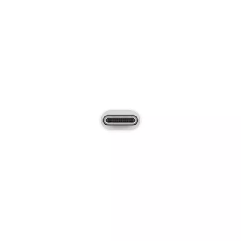 Apple USB-C į USB adapteris MJ1M2ZM/A