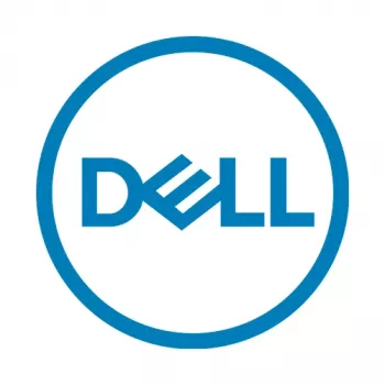 Dell KIOXIA BG4 Series KBG40ZNS256G - SSD - 256 GB - vidinis - M.2 2230 - PCIe 3.0 x4 (NVMe) (FWJTG)