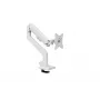 Monitorinis laikiklis Arozzi AZ-ALZARE-NEO-WT Baltas 9kg VESA 75x75 100x100