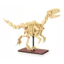 Konstruktorius Jamara CaADA Dinozaurų fosilija Velociraptor – 256 detalių, nuo 8 m., smėlio/ruda