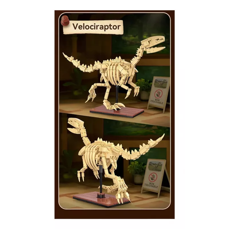 Konstruktorius Jamara CaADA Dinozaurų fosilija Velociraptor – 256 detalių, nuo 8 m., smėlio/ruda