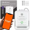 Dujų ir anglies monoksido nuotėkio detektorius QOLTEC 52654 – gamtinių dujų (CH4) ir CO jutiklis su Wi-Fi ir išmaniąja programa